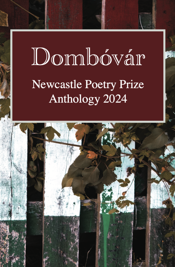 eBook cover of 2024 Newcastle Poetry Prize